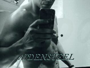 AIDEN_STEEL
