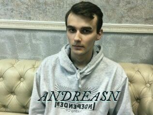ANDREAS_N