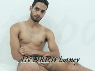 ANDREWhorney