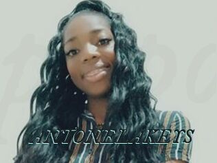 ANTONELAKEYS