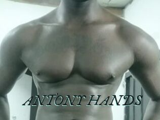ANTONY_HANDS