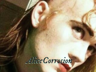 AliceCorrosion