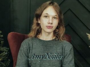 AmyNoiles