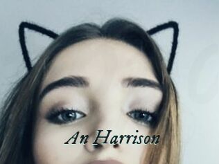 An_Harrison