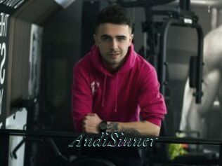 AndiSinner