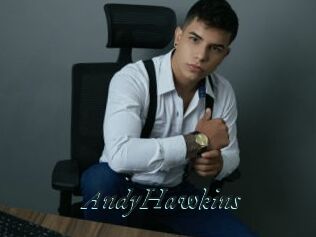 AndyHawkins