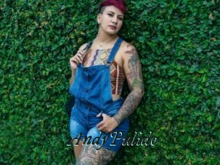 AndyPulido