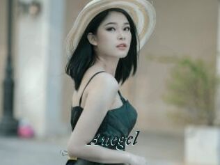 Anegel