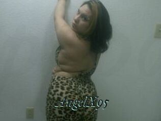AngelX95
