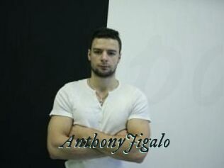 AnthonyJigalo