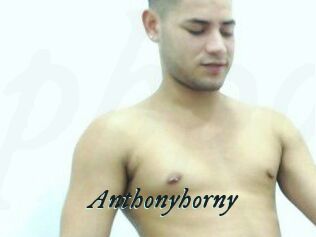 Anthonyhorny