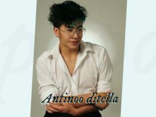 Antinoo_ditella