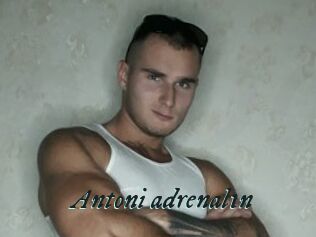 Antoni_adrenal1n