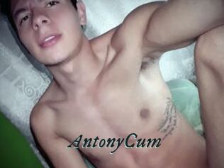 AntonyCum