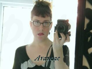 Araneae