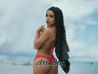 AriaRise