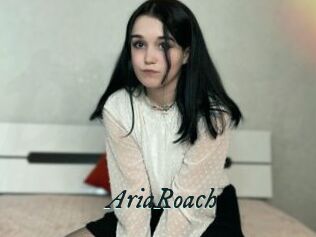 AriaRoach