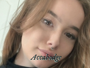 Accabodge