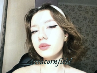 Accacornfield