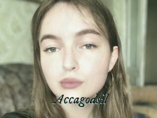 Accagodsil