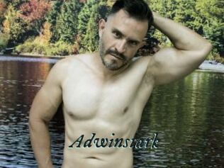 Adwinstark