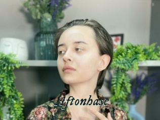 Aftonhase