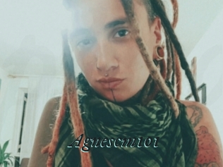 Agnescm101