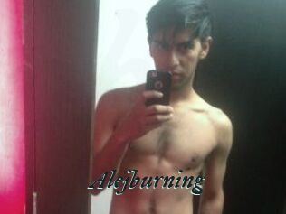 Alejburning