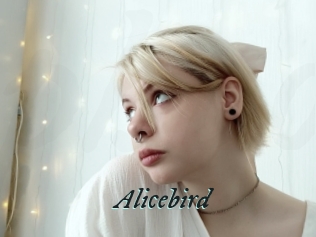 Alicebird