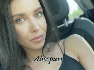 Alicepurr
