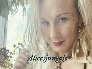 Alicesjungalo