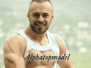 Alphatopmodel