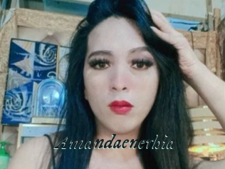 Amandaenerhia