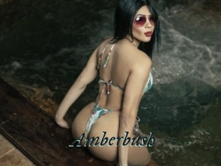 Amberbush