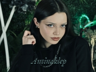 Aminaklep
