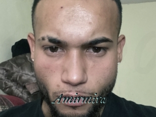 Amirmira