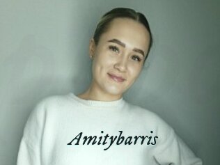 Amitybarris