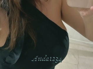 Anda1234