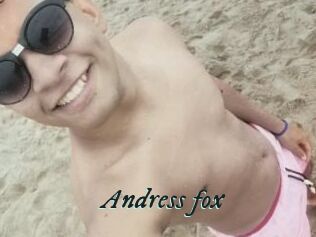 Andress_fox