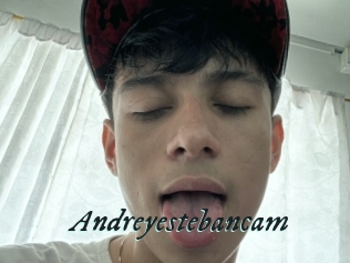 Andreyestebancam