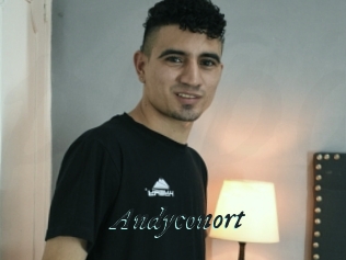 Andyconort