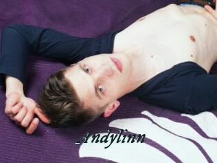 Andylinn