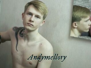 Andymellory