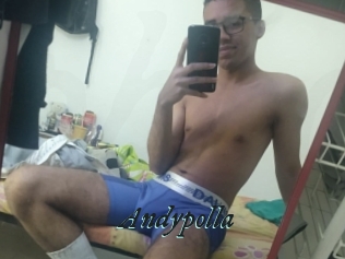 Andypolla