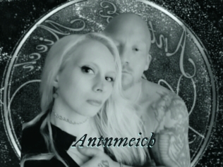 Antnmeich