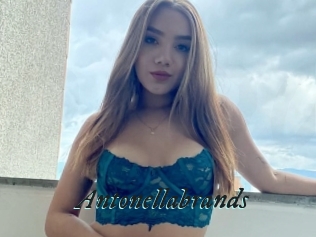 Antonellabrands