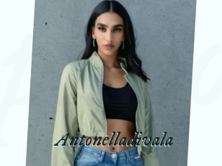 Antonelladivala