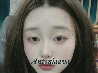 Antoniaava