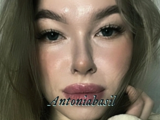 Antoniabasil