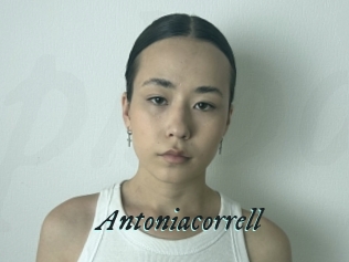 Antoniacorrell
